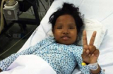 Xót thương bé gái 10 tuổi bị ong vò vẽ đốt gần 90 vết