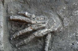 Phát hiện 16 bàn tay bị chặt đứt, chôn ở cung điện cổ xưa