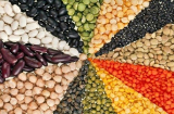 Top 4 loại hạt là thần dược sức khỏe bạn nên ăn mỗi ngày