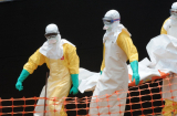 Thông cáo về tình hình đại dịch Ebola