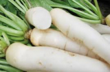 Củ cải trắng - ngăn ngừa ung thư và trị viêm loét dạ dày tốt