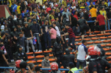 Hàng loạt CĐV Malaysia gửi lời xin lỗi CĐV Việt Nam