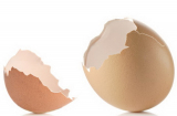 Vỏ trứng gà có công dụng chữa bách bệnh