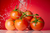 Cách bảo quản cà chua tươi ngon, dùng quanh năm