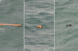 QZ8501 mất tích: Phát hiện xác máy bay cùng nhiều thi thể