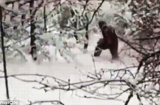 Kinh hãi phát hiện người tuyết Yeti bí ẩn trong rừng
