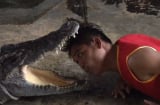 Kinh hãi cảnh người đàn ông chui đầu vào miệng cá sấu