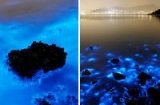 Bờ biển Hồng Kông phát ánh sáng xanh “kỳ lạ” vào ban đêm