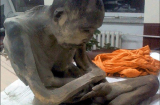 Tìm thấy xác ướp 'Phật sống ngồi thiền' 200 năm tuổi