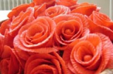 Hướng dẫn làm hoa hồng từ giấy ăn tuyệt đẹp trang trí Tết