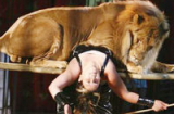 Kinh hãi giây phút sư tử vồ nữ huấn luyện viên tại rạp xiếc