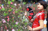 Chợ hoa lâu đời nhất Hà Nội nhộn nhịp ngày cuối năm