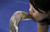 Khiếp đảm chàng trai liều lĩnh trêu đùa với rắn độc