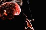 Hút thuốc lá làm mòn vỏ não của bạn