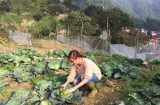 Hoàng Thùy Linh về quê làm nông dân chuyên nghiệp