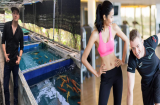 Cao Thái Sơn dành tiền để mua cá, Hoàng Thùy chăm tập gym