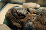 Tiết lộ thức ăn của xác ướp 2.000 tuổi trước khi chết