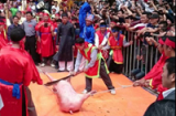 Nhà văn hóa dân gian nói về lễ hội chém lợn và 'sờ ngực'