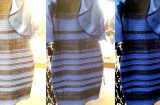 Lý giải khoa học về chiếc váy có màu sắc gây tranh cãi