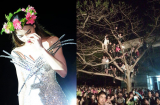 Khán giả trèo cây, leo cột điện xem Hồ Ngọc Hà hát