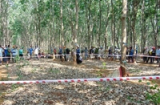 Phát hiện xác thiếu nữ phân hủy trong rừng cao su