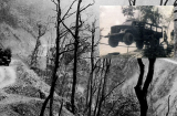 Thực hư lái xe trên dây cáp vượt Trường Sơn trong chiến tranh