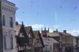 Kinh hãi hàng vạn con ong đột kích vào giữa thị trấn ở Anh