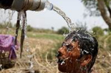 Nắng nóng kỷ lục 48 độ C, hơn 330 người ch.ết ở Ấn Độ