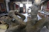 Tái tạo xác chết hóa đá 1.900 năm sau thảm họa núi lửa