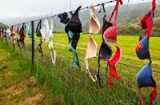 Hàng rào nổi tiếng thế giới với hàng trăm ngàn chiếc áo lót