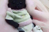 Sự thực bàng hoàng về em bé Nam Phi đen nhất Thế giới