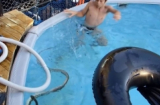 Kinh hãi cảnh 3 cậu bé chơi đùa với rắn khủng trong bể bơi