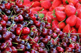 Tại sao nên ăn quả cherry dù đắt đỏ?