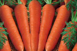 Những nguy hại khôn lường khi sử dụng cà rốt