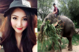 Hương Tràm đẹp ngỡ ngàng, Hồ Quang Hiếu muốn nuôi voi