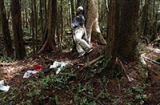 Đánh chết cháu nhỏ ở Nghệ An: Nghi phạm treo cổ trong rừng tràm