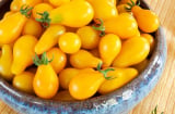 Cách trồng cà chua lê, ớt nhiều màu lạ mắt ngay tại nhà