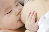 Sữa mẹ có thể truyền hóa chất độc hại từ mẹ sang con