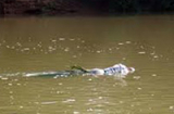 Kinh hoàng: Phát hiện thi thể phụ nữ mất đầu trôi trên sông
