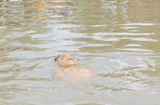 Cậu bé “bất thường” tự nổi nhiều giờ liền trên mặt nước