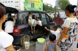 Trung Quốc: Vắt sữa dê trực tiếp để bán giữa phố lớn