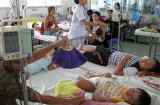 Hà Nội bùng phát bệnh sốt xuất huyết tại 29/30 quận, huyện