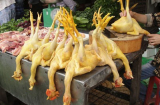 Cách nhận biết thịt gà nhuộm hóa chất vàng da