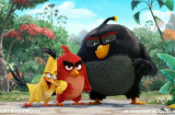 Sony Pictures tung trailer siêu nóng của phim 'Angry Birds'