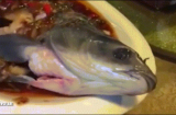 Choáng váng con cá nấu chín bỗng “sống lại” trên đĩa