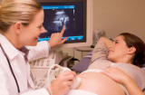 Lịch khám thai định kỳ đối với một thai kỳ bình thường