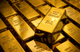 Giá vàng, Đô la Mỹ hôm nay (20-11): Giá vàng SJC và Đô la Mỹ tăng