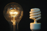 Đèn tiết kiệm điện vô cùng nguy hiểm với con người