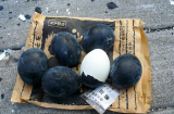 Hiếu kỳ món trứng đen kéo dài tuổi thọ ở Nhật Bản