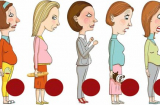Phân biệt 6 kiểu bụng to khác nhau phụ nữ thường gặp